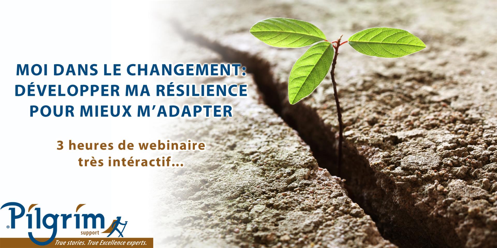 Pilgrim eventbrite eventl resilience may 2020 1