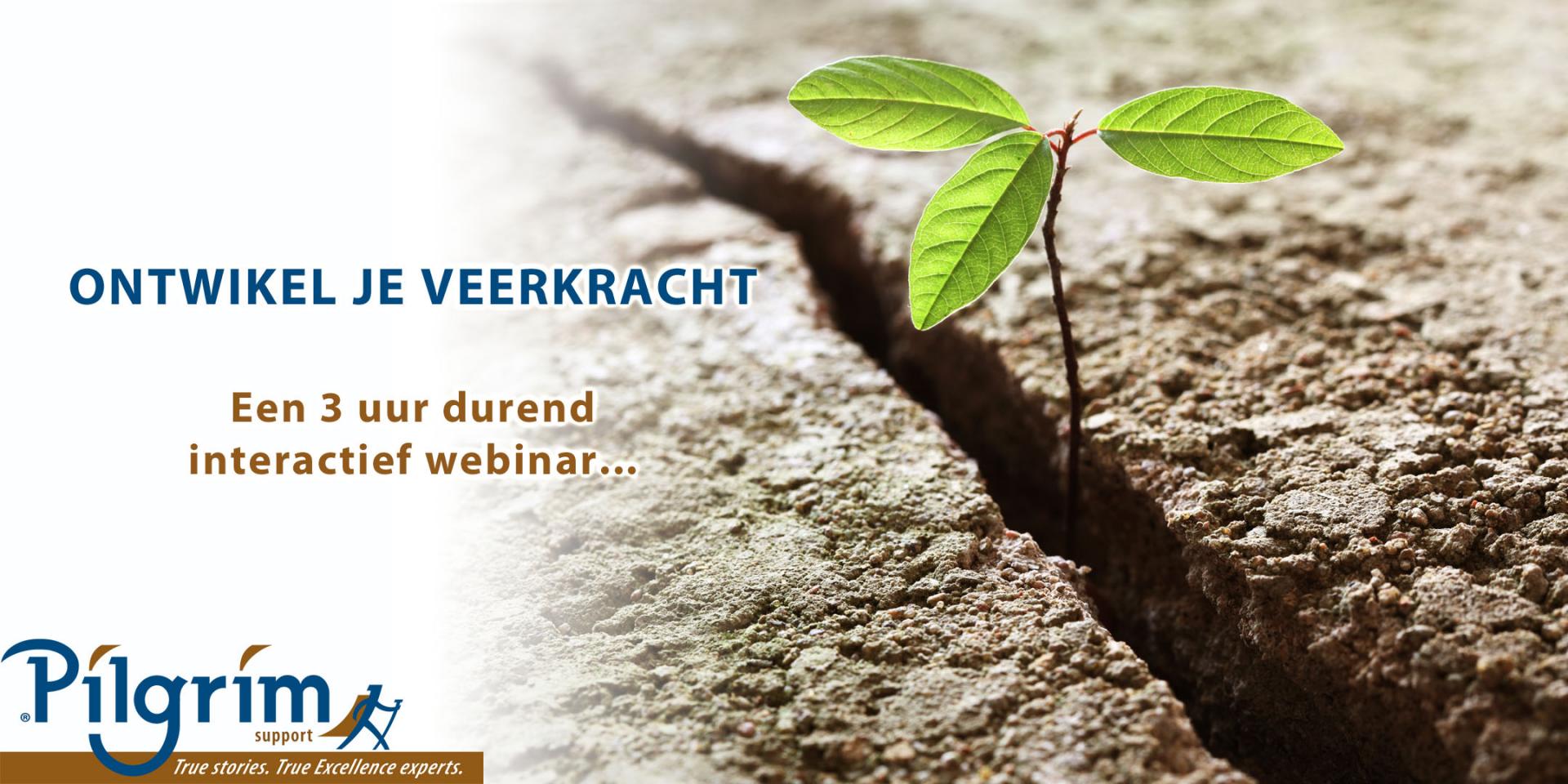 Pilgrim webinar resilience nl jan 2022 1b