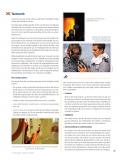 SARC-6 NL - Page 29